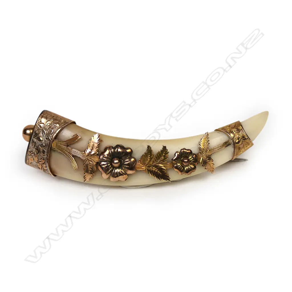 G. E. Whitmore (Auckland) gold mounted boar's tusk brooch, Image 1++